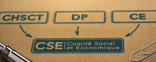 comité social et économique